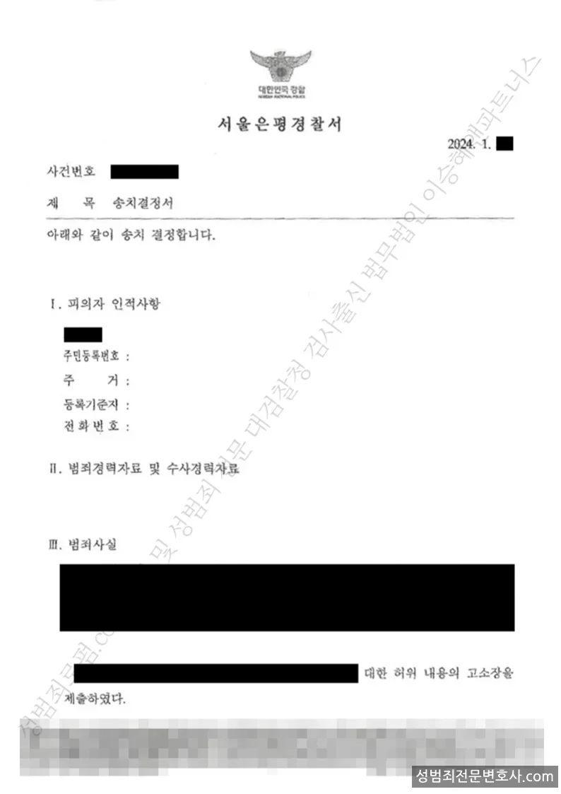 피해자대리(성공) 처분문서