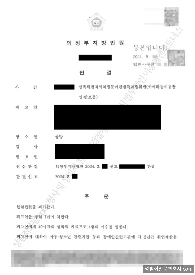 피해자대리(성공) 처분문서