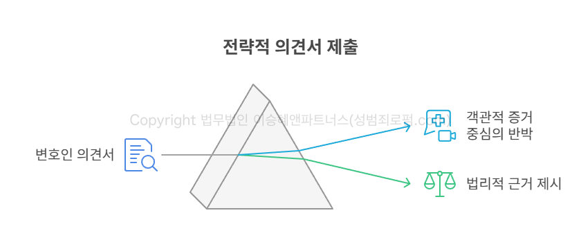전략적 의견서 제출