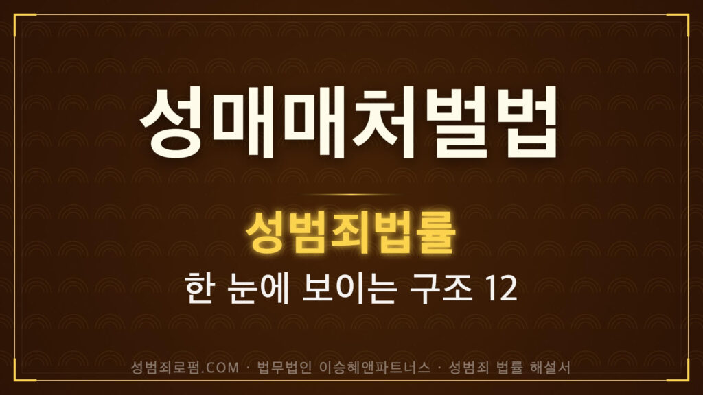 성매매처벌법 해설, 법무법인 이승혜앤파트너스 발간 책 사진