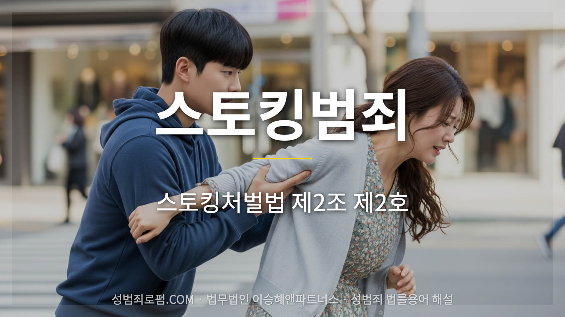 스토킹범죄, 스토킹처벌법 제2조 제2호