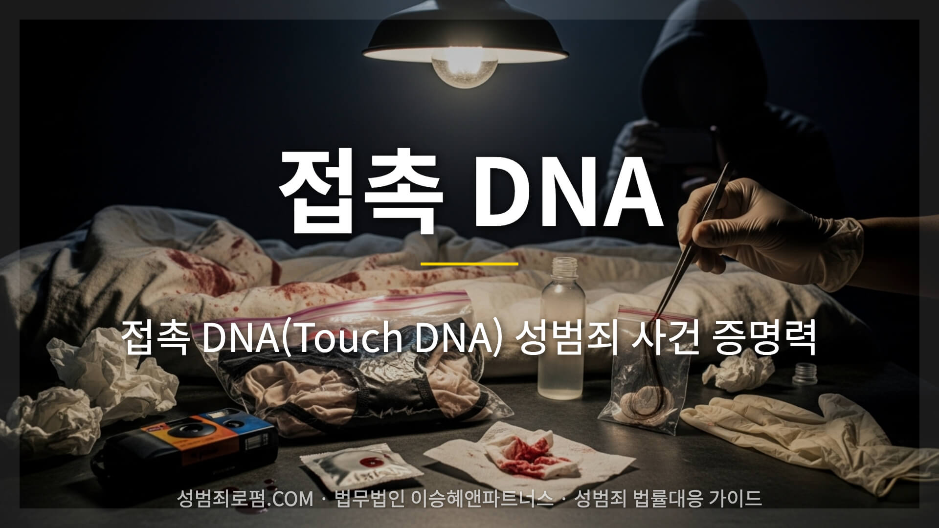 접촉 DNA Touch DNA 성범죄 사건 증명력