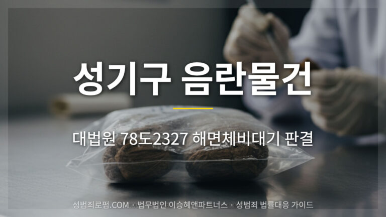성기구 음란물건 기준 판단