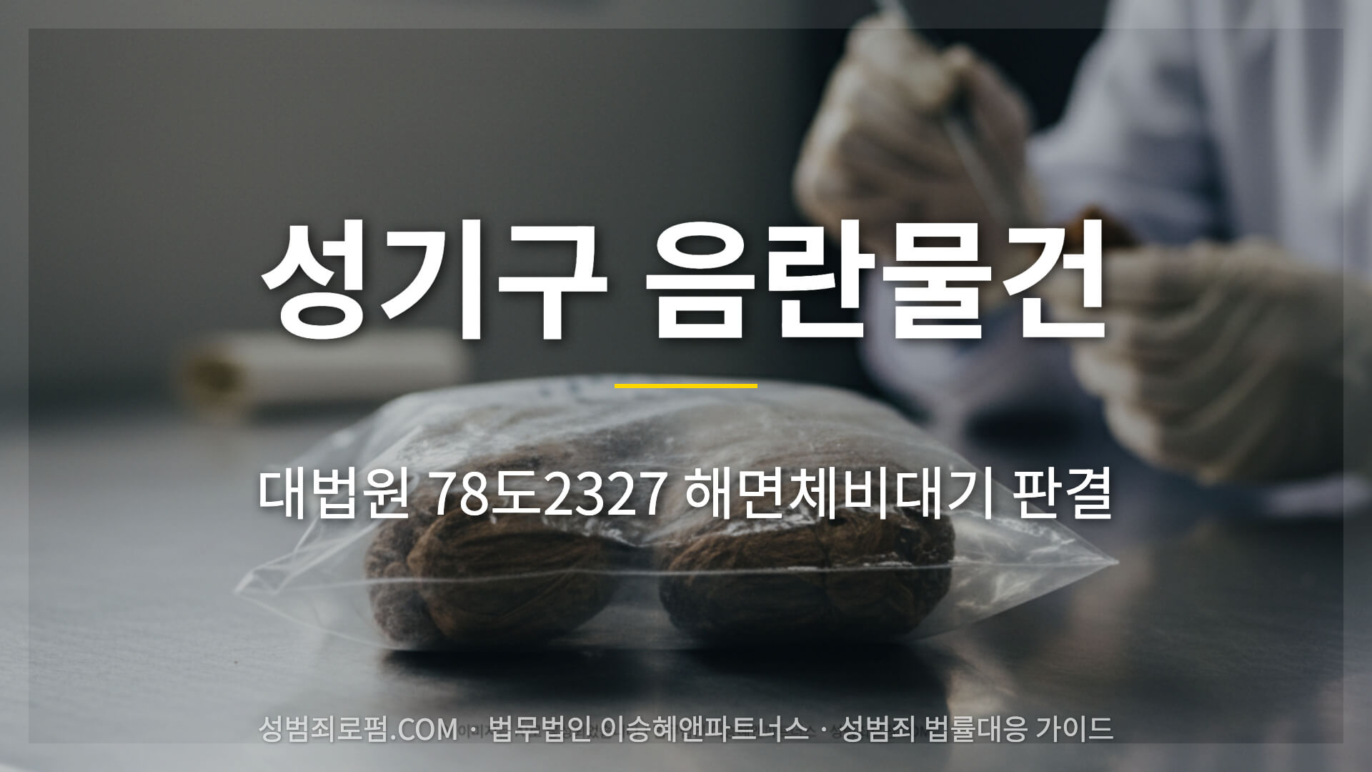 성기구 음란물건 기준 판단